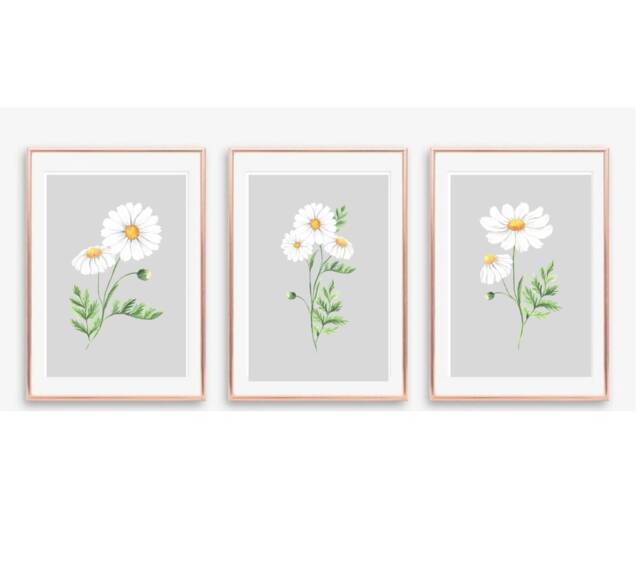 Grey Wall Art, Daisy Prints, Watercolour Floral Bedroom Kitchen Living Room Set Of 3 Art - image 1