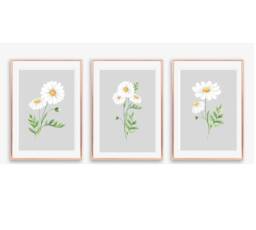 Grey Wall Art, Daisy Prints, Watercolour Floral Bedroom Kitchen Living Room Set Of 3 Art - thumbnail 1