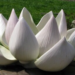 Garden Sculpture Outdoor Lotus Art Decoration Lighting Decor Cement - thumbnail 3