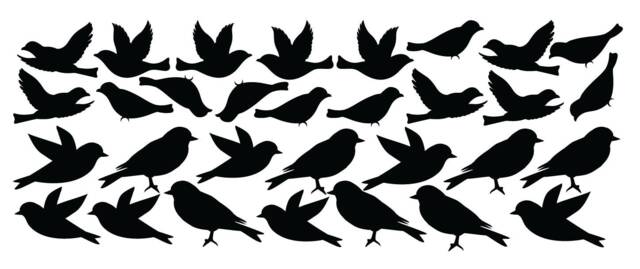 Bird Wall Decal Stickers Peel & Stick Decor Flying Sitting Removable Reusable Vinyl Art Great With Large Tree Decals #1387 - image 1