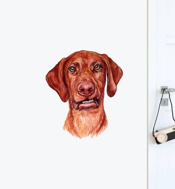 Redbone Coonhound Dog Wall Sticker Decal - Dogs & Pets Stickers, Art, Decals, Kids Animals Decals