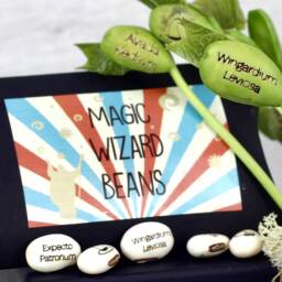 Magic Wizard Bean Grow Set - thumbnail 1