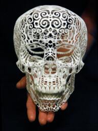 Skull Sculpture Crania Anatomica Filigre - Large - thumbnail 1