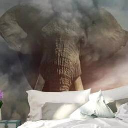 3D Elephant Wallpaper, Cloud & Seagull Wall Mural, Peel & Stick - thumbnail 3