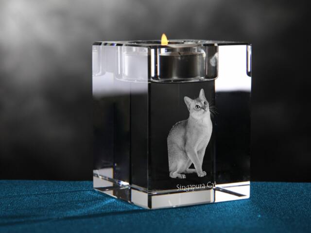 Snowshoe Cat, Crystal Candlestick With Souvenir, Decoration, Limited Edition, Collection - image 1