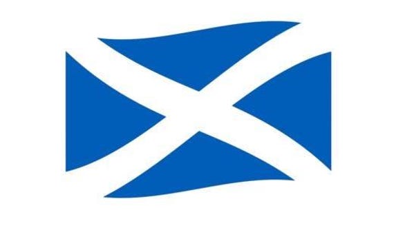 Scotland Flag Distressed Decal Car Sticker Vinyl Wall Art Bonnet Side Van Graphic Door Motorhome Campervan Caravan