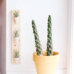 Ceramic Wall Planter, Triple By Carter + Rose - thumbnail 3