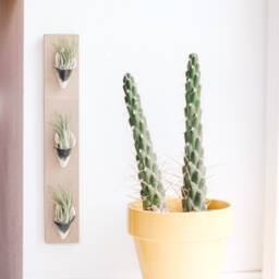 Ceramic Wall Planter, Triple By Carter + Rose - thumbnail 2