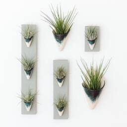 Ceramic Wall Planter, Triple By Carter + Rose - thumbnail 4