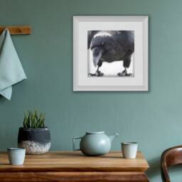 Quoth The Raven Nevermore - Signed Fine Art Photograph By June Hunter, Raven Portraiture - thumbnail 2