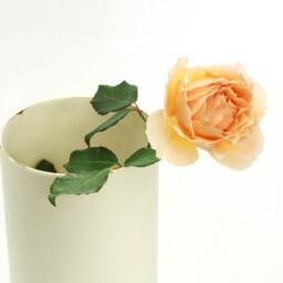 Contemporary White Porcelain Vase. Handmade Ceramic Tube Minimalist & Gold. Wedding Delicate Clay Vase Design By Conceptstudio - thumbnail 3