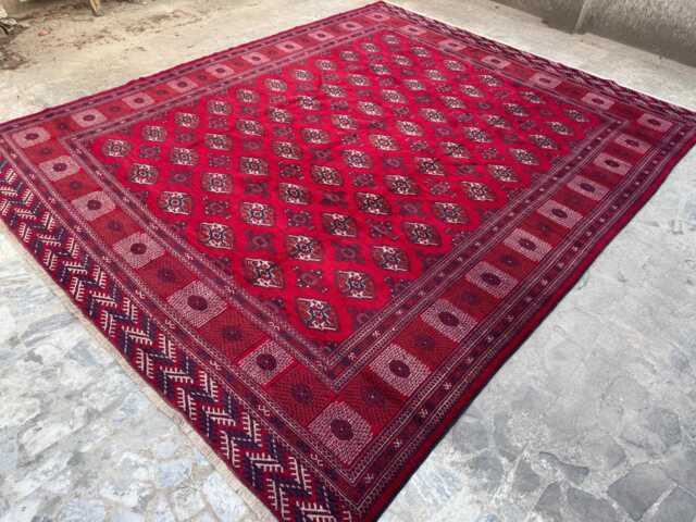 Handmade 9'11x12'3 Bokhara Wool Rug , Traditional Turkmen Oriental High Quality Afghan Carpet, Livingroom Kitchen Rug, Gift - image 1