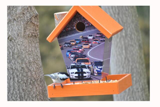 Nascar Bird Feeder - image 1