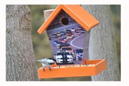Nascar Bird Feeder - thumbnail 1