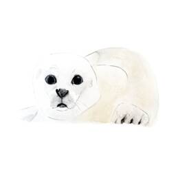 Minimalist Baby Seal Print - Soft White Illustration Calming Wall Art For Kids' Room & Nature-Inspired Decor - thumbnail 2