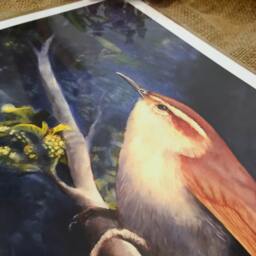 Wren Oil Painting Fine Art Print. 8x10. Bird Painting. Carolina Wren. Wildlife Art. Wall Decor. Natural - thumbnail 3