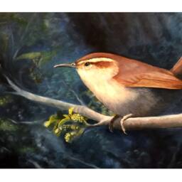 Wren Oil Painting Fine Art Print. 8x10. Bird Painting. Carolina Wren. Wildlife Art. Wall Decor. Natural - thumbnail 2
