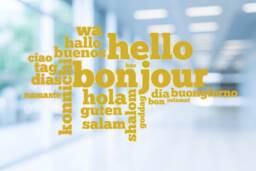 Hello in Many Languages Wall Decal - Reception Art Se141