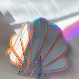 x-Large Seashell Reflector - Large Seashell Wavy Acrylic Mirror Amorphic Retro Shell Object - thumbnail 2