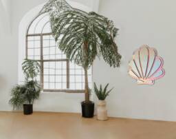 x-Large Seashell Reflector - Large Seashell Wavy Acrylic Mirror Amorphic Retro Shell Object - thumbnail 1