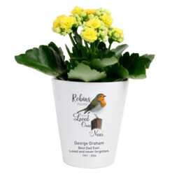 Personalised Robins Appear When Loved Ones Are Near Plant Pot - Beautiful Robin Memorial Ornament For The Home Or Graveside - thumbnail 3