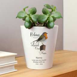 Personalised Robins Appear When Loved Ones Are Near Plant Pot - Beautiful Robin Memorial Ornament For The Home Or Graveside - thumbnail 2