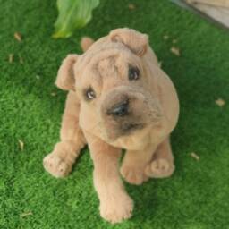 Custom Order Artificial Fur Poseable Open Mouth Pet Replica Dog Portrait Loss Gift Shar Pei Puppy Christmas - thumbnail 3