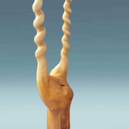 Wooden Abstract Sculpture, Modern Wood Art, Walnut Carved Statue, Carving Burl, Hand Statue - thumbnail 3