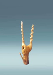 Wooden Abstract Sculpture, Modern Wood Art, Walnut Carved Statue, Carving Burl, Hand Statue - thumbnail 1