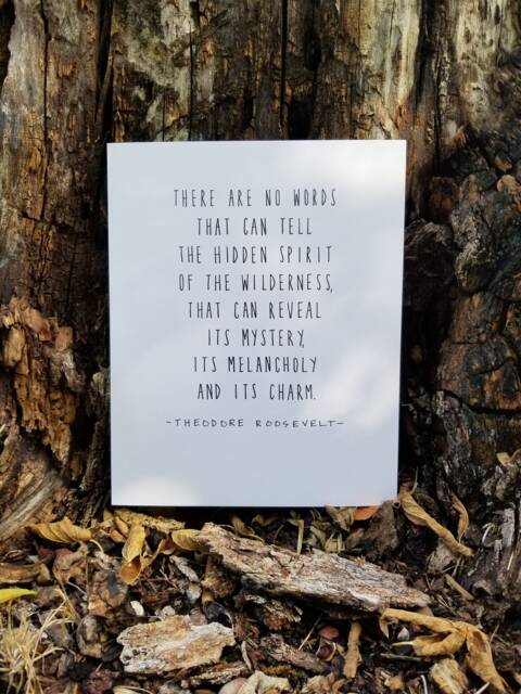 Theodore Roosevelt Quote, Nature, Environmentalist, Minimalist, Hand Lettered Print, Custom 8x10, National Parks, Eco-Friendly