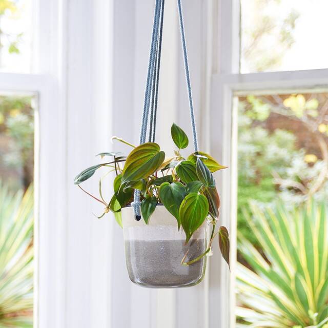 Ceramic Hanging Planter - Misty Morning Glaze - image 1