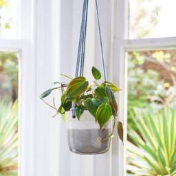 Ceramic Hanging Planter - Misty Morning Glaze