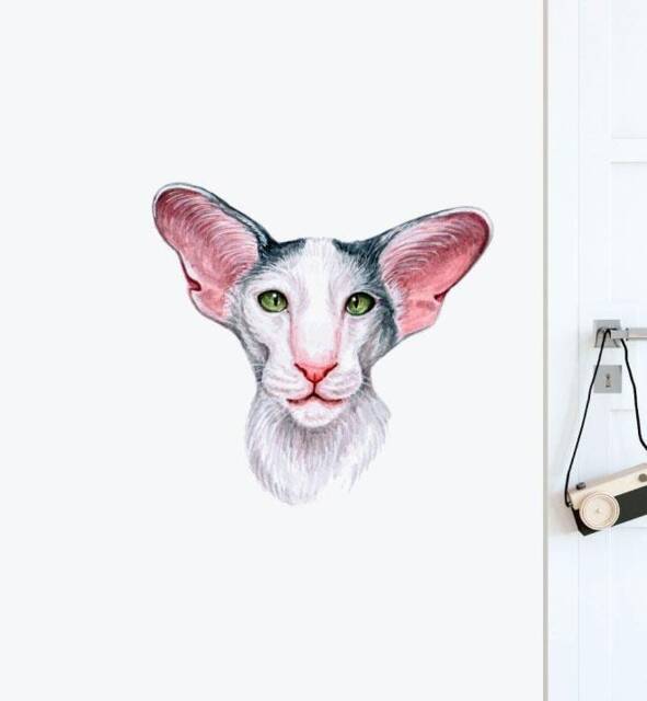 Oriental Hobbikats Cat Wall Sticker Decal - Dogs & Pets Stickers, Art, Decals, Kids Animals Decals