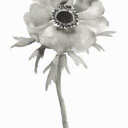Anemone Set Of 2 Fine Art Prints, Original Floral Art, Sumi Ink Painting, Black & White Botanical Prints, Minimalist Decor - thumbnail 2