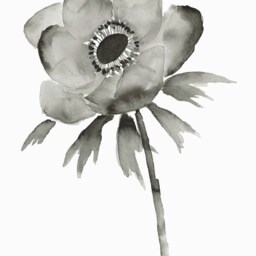 Anemone Set Of 2 Fine Art Prints, Original Floral Art, Sumi Ink Painting, Black & White Botanical Prints, Minimalist Decor - thumbnail 3