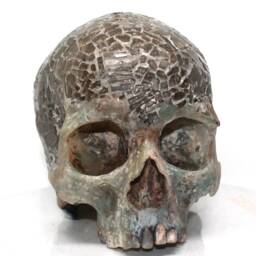 Bank Robbery Skulls - thumbnail 4