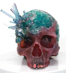 Bank Robbery Skulls