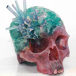 Bank Robbery Skulls - thumbnail 2