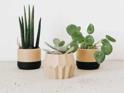 Set Of 3 Minimalist & Japandi Planters For House Plant, Beige Black, Drainage Hole Drip Tray, 2 4 Inches, Original Planter Gift - thumbnail 1