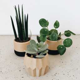 Set Of 3 Minimalist & Japandi Planters For House Plant, Beige Black, Drainage Hole Drip Tray, 2 4 Inches, Original Planter Gift - thumbnail 4