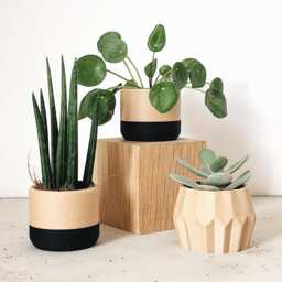 Set Of 3 Minimalist & Japandi Planters For House Plant, Beige Black, Drainage Hole Drip Tray, 2 4 Inches, Original Planter Gift - thumbnail 2