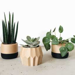 Set Of 3 Minimalist & Japandi Planters For House Plant, Beige Black, Drainage Hole Drip Tray, 2 4 Inches, Original Planter Gift - thumbnail 3