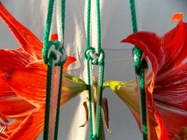 40 Inches 3mm Green & White Strong Macrame Plant Hanger - Hanging Planter Vip - image 1