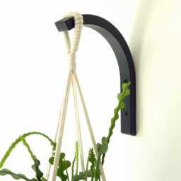 Wooden Plant Hanger Minimalist Indoor Wall Hook For Houseplants, Lover Gift - thumbnail 1