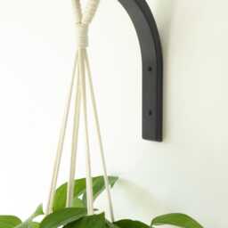 Wooden Plant Hanger Minimalist Indoor Wall Hook For Houseplants, Lover Gift - thumbnail 2