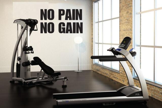No Pain Gain, Wall Decor Vinyl Decal Gym Workout Motivation Quote Item#82 - image 1