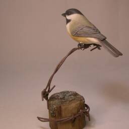 Black-Capped Chickadee On Barbed Wire Hand Carved Wooden Bird - thumbnail 3