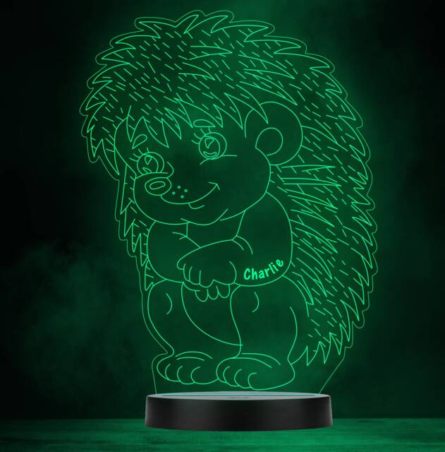 Baby Hedgehog Children's Animal Personalised Gift Colour Change Lamp Night Light - image 1