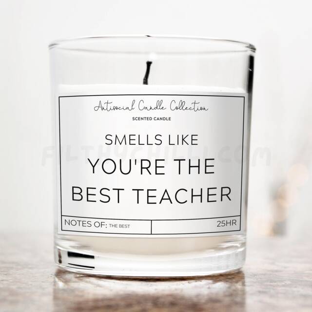 Smells Like You're The Best Teacher, Birthday Gift For Present Teacher Idea, Candle, End Of Term Gift, ??? - image 1