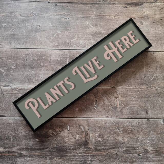 Plants Live Here Framed Metal Print Vintage Style Gallery Wall Art - image 1